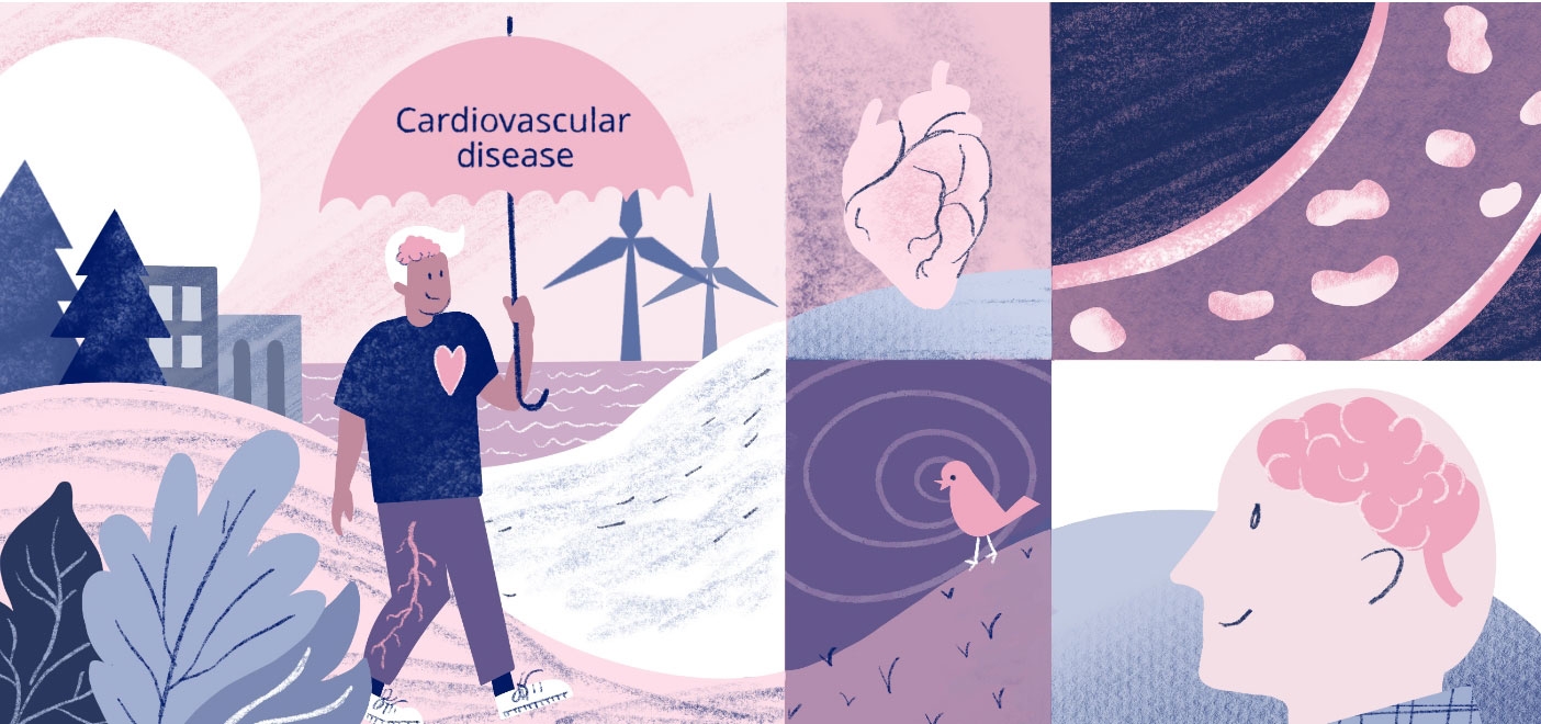 Comprendere le malattie cardiovascolari