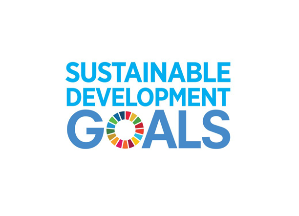 Logo Obiettivi di sviluppo sostenibile